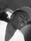 fresh!