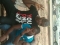 wif hommies
