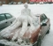 SNOW IN SEX SCANDER