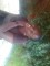 Luv at first site