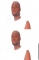 OSSY-DON