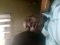 No king as God