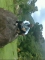 @the CATTLE RANCH