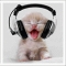 best paid to click websites for 2011