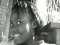 me,,,,,,,,, me, yeh me