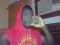 simply a MAN U fan