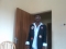 sesiy