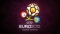 uefa euro 2012 booking services
