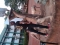 datz me