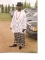 YOUNGEST CHIEF