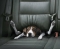 sleeping hallow
