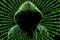 I found myself in the matrix