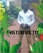 Hapy one