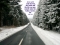 Jesus the way