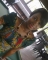 she is
