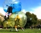 Bubble Soccer UAE