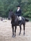 ride on 2 greetness