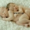 tender