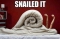snail it