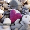 love rocks !!
