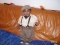 the apple of my eys,GOD bless u my luv.
