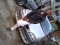 me at Del\'apaix Hotels