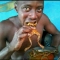 WHO WAN CHOP FROG?