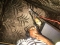 no one no 2moro