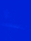 Shedinzy.com