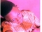 Tee Fresh T Show mayana