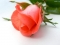 loving you