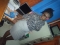 am back again