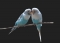 can't we make luv