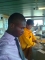 Maurice