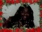 Me The Beautiful
