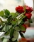 1LOVE