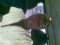 IS GUD TO BE GUD