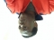 Remijius Vado