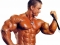 The holy trinity of exercises for adding muscle mass are the squat the bench press RevTest  and the dead lift. These three techniques will help you et into shape in a relatively quick amount of time and help you continue to build muscle. All other exercises should be centered around these three.  Read More >>> http://www.perfecthealthcentre.com/amazing-news-about-revtest/