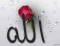 Allah
