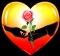 LOVE IS REAL