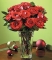 Nice pix