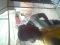 am gonna gv u d best of anymusic u wnt