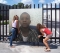 My Pics