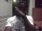 facing ma biz
