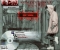 B.D.M Explostion E.P (Album)