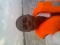 me on the SEA