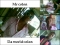My pics