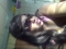 just me