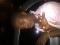 honey B